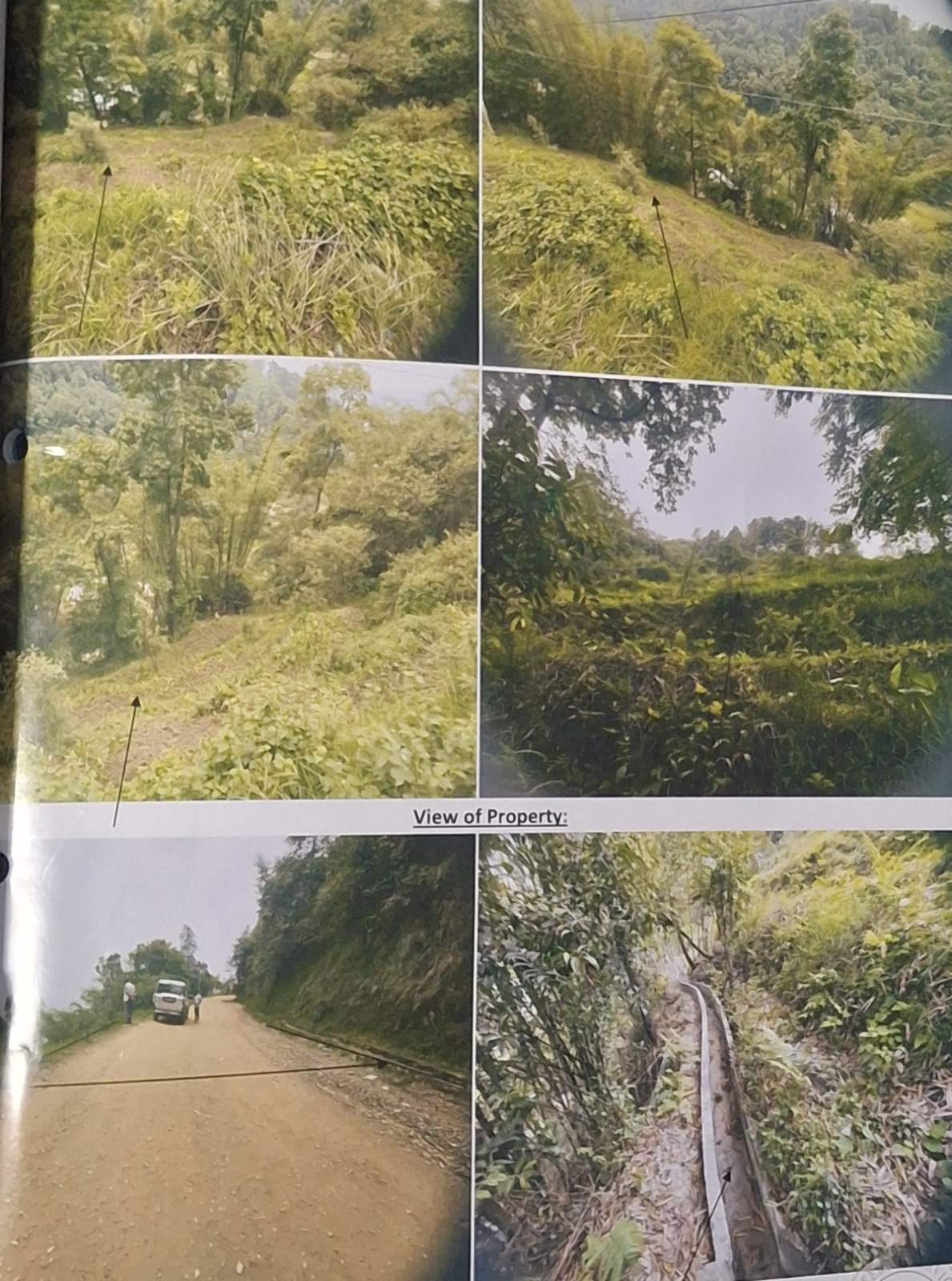 Nagarkot VDC Ward no.-02, Nagarkot Road, Bhaktapur, 
Current: Changunarayan Municipality Ward no.-06, Bhaktapur. 1